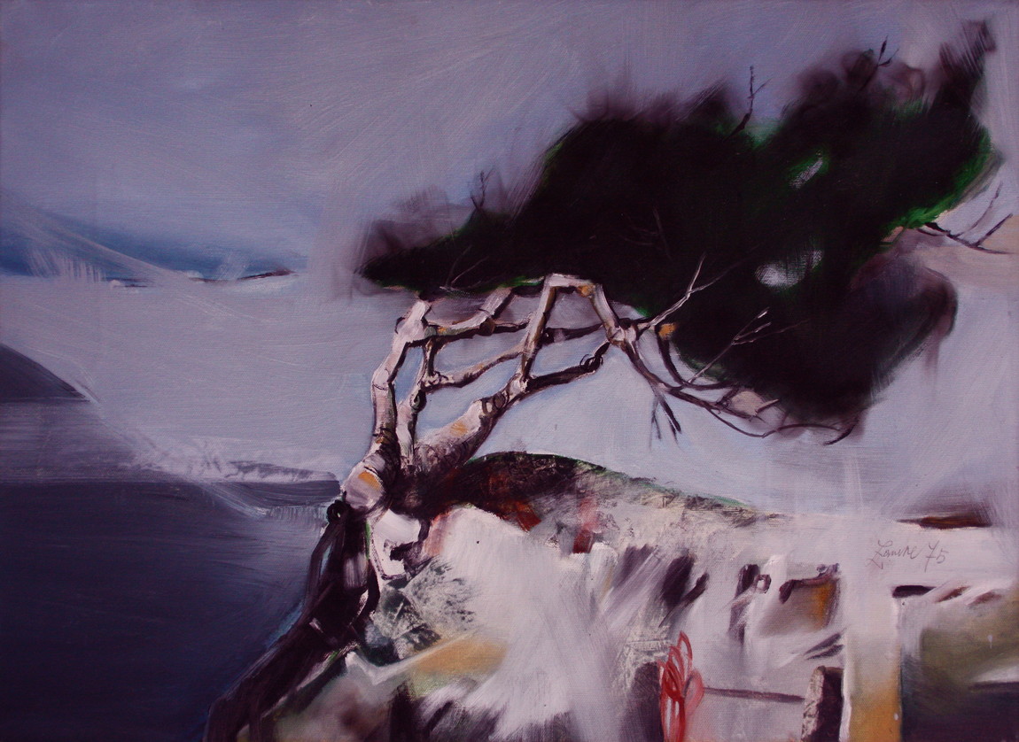 Zanette 54 untitled   albero mosso dal vento
