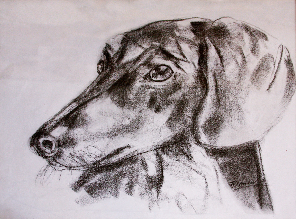 Disegni 4